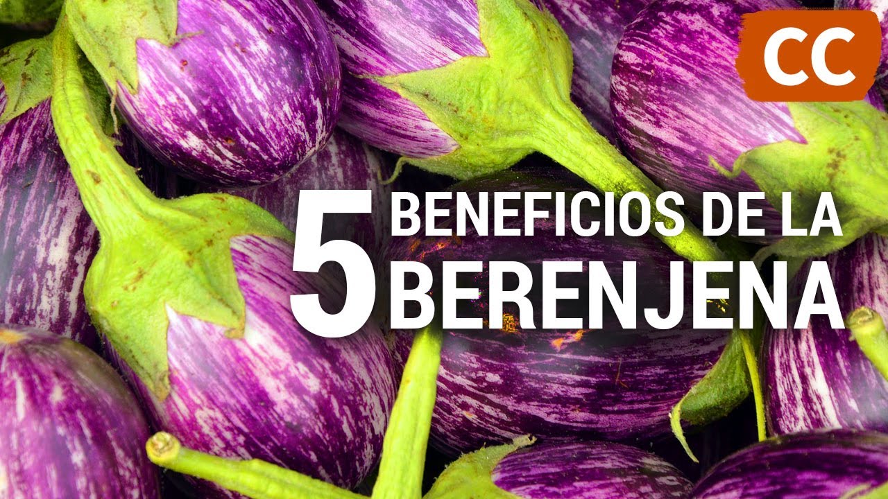 5 Beneficios de las Berenjenas | Ciencia de la Comida