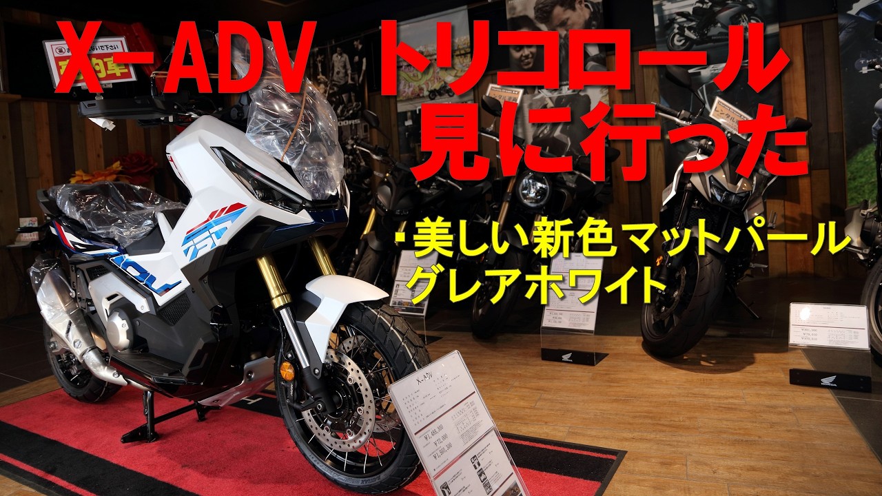 2026年トリコロールカラー見に行った