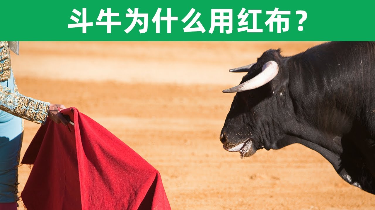 斗牛士为什么要用红布斗牛，而不用其他颜色的布斗牛，你知道吗？