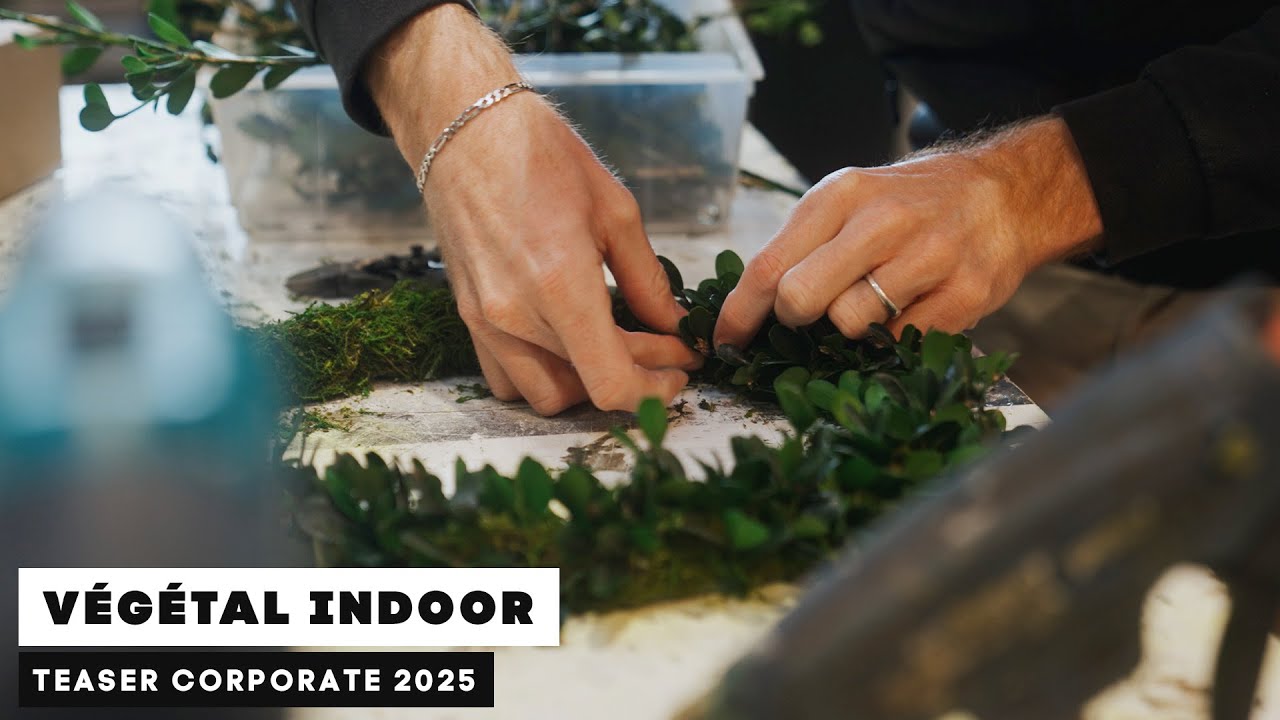 Teaser Vegetal Indoor 2025