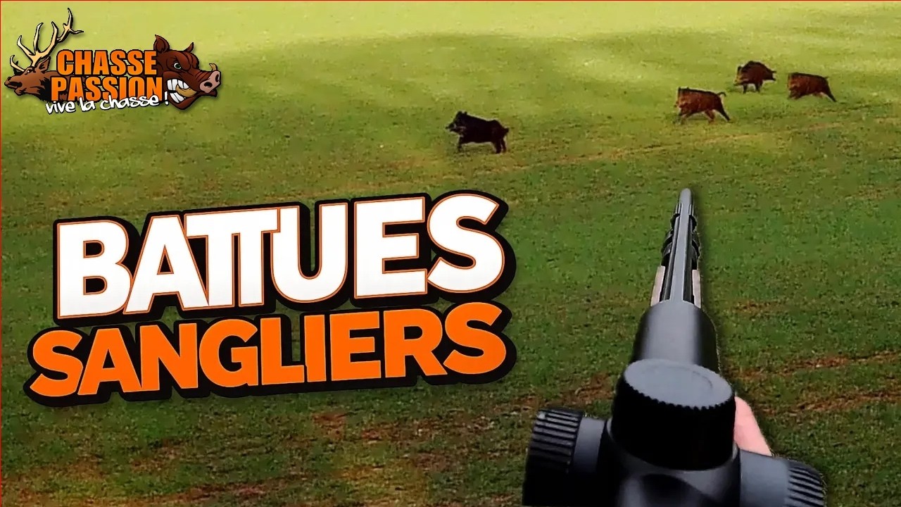 CHASSE DU SANGLIER EN BATTUE - Doublé de sangliers et énorme loupé au poste !