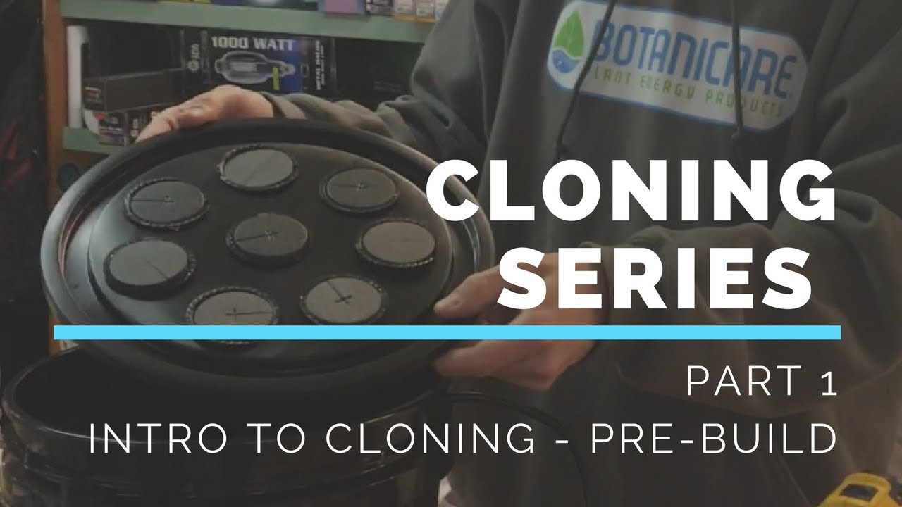 CLONING SERIES PART 1 - INTRO TO CLONING - WATCH THIS BEFORE YOU BUILD YOUR OWN DIY CLONING MACHINE