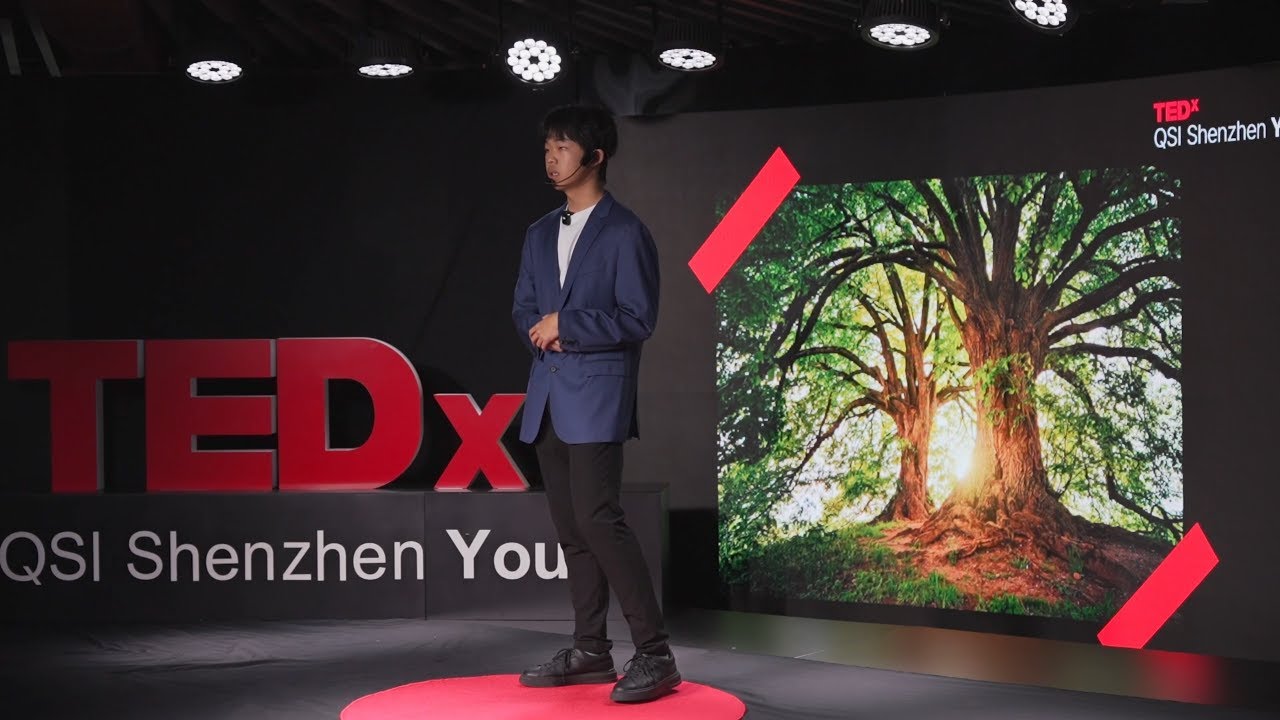 How your environment can shape your success | William Kou | TEDxQSI Shenzhen Youth