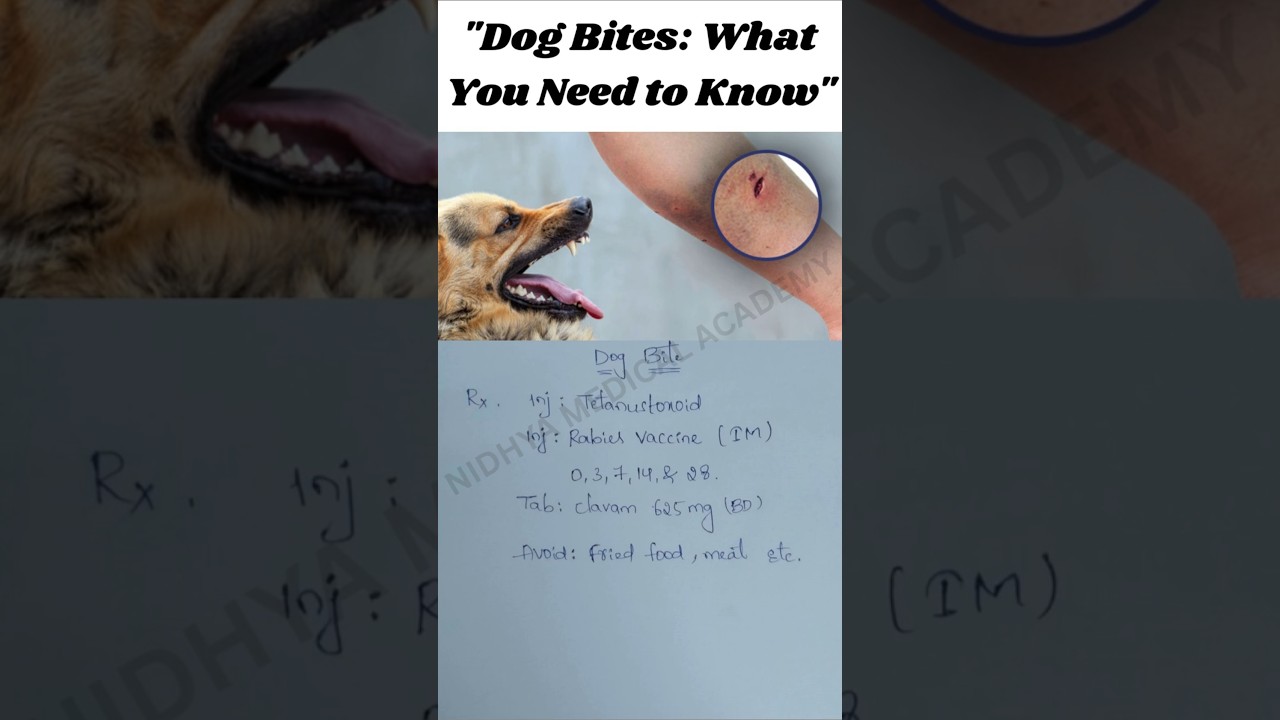What to Do If a Dog Bites You | Treatment | Nidhya Medical Academy | #DogBite #nidhyamedicalacademy
