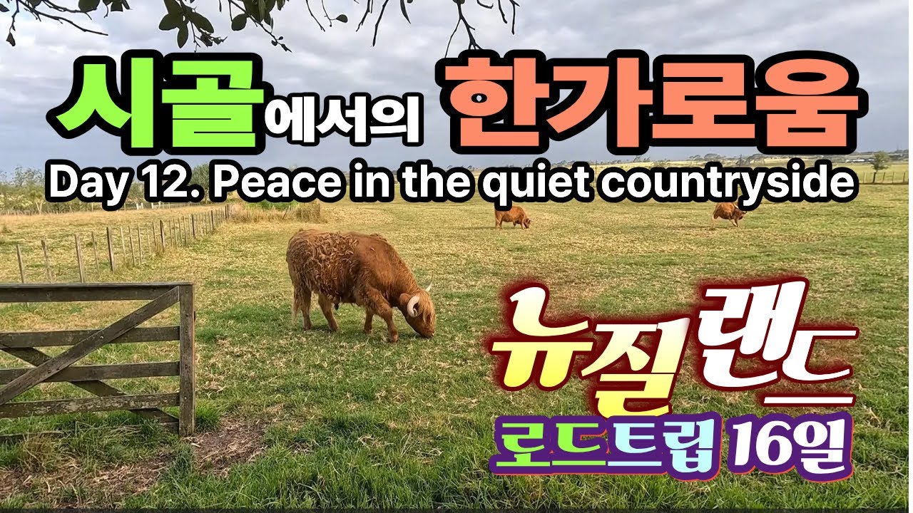 뉴질랜드 북섬 시골에서의 한가로움(EP11) Peace in the quiet countryside, North Island, New Zealand