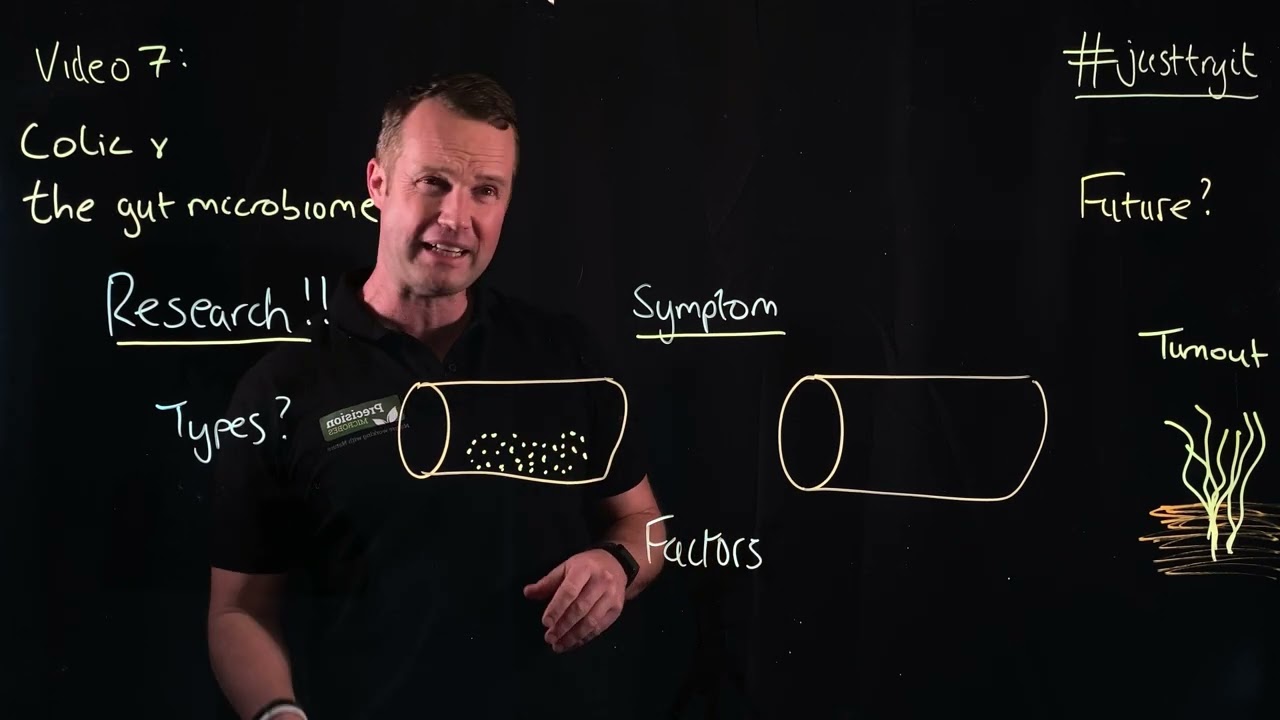Being brilliant at the basics video 7: Equine colic and the gut microbiome