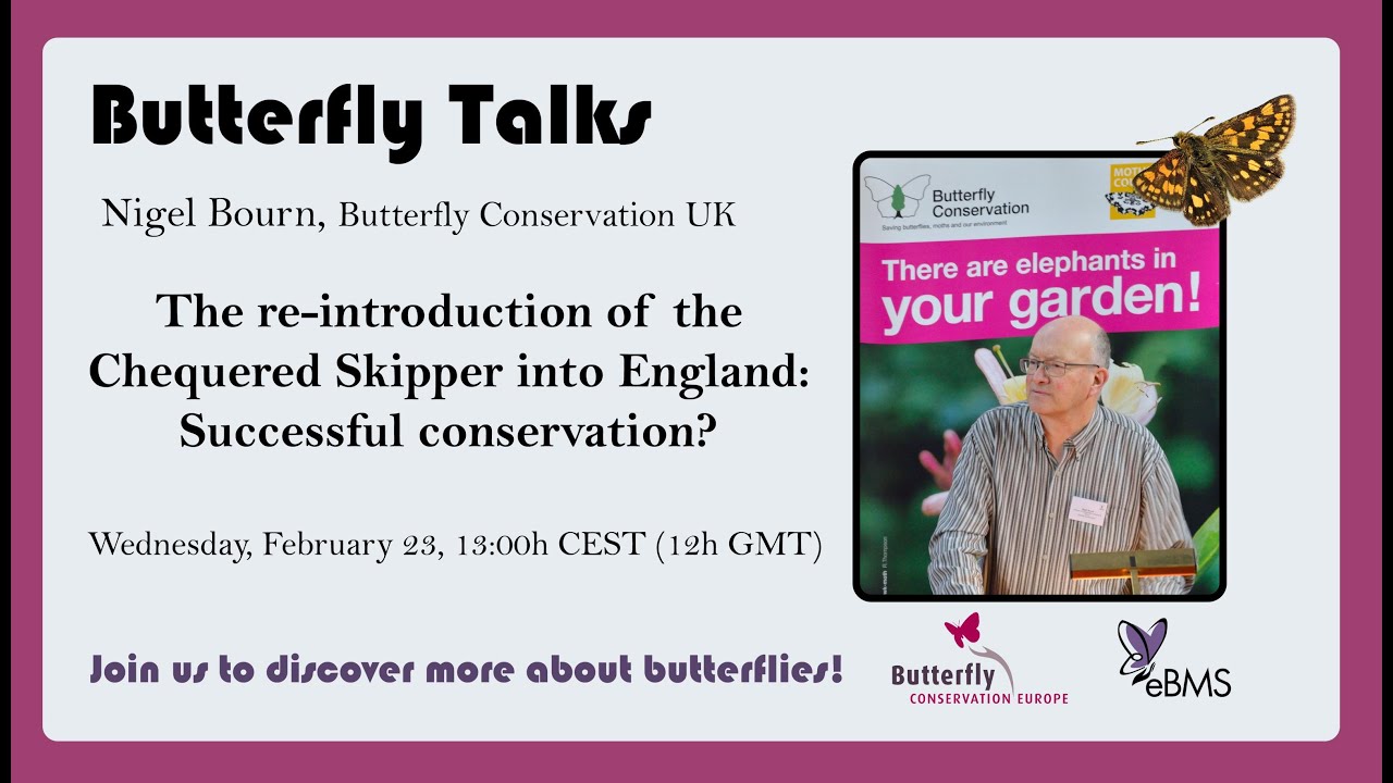 Nigel Bourn - The re-introduction of the Chequered Skipper into England ButterflyTalk