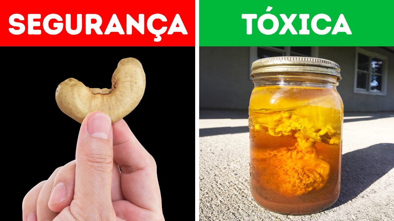 100 coisas proibidas em todo o mundo que o deixarão surpreso!