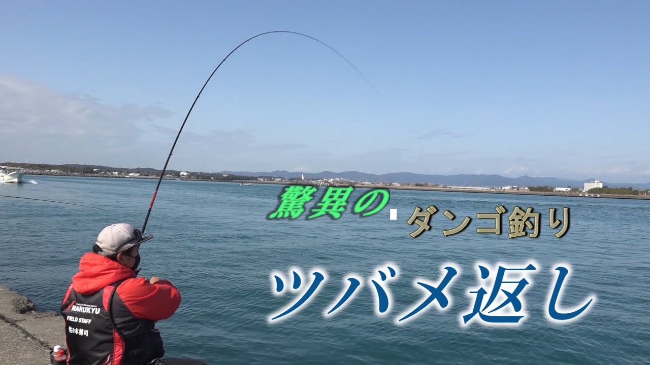 シリーズ浜名湖300　驚異のダンゴ釣り「ツバメ返し」