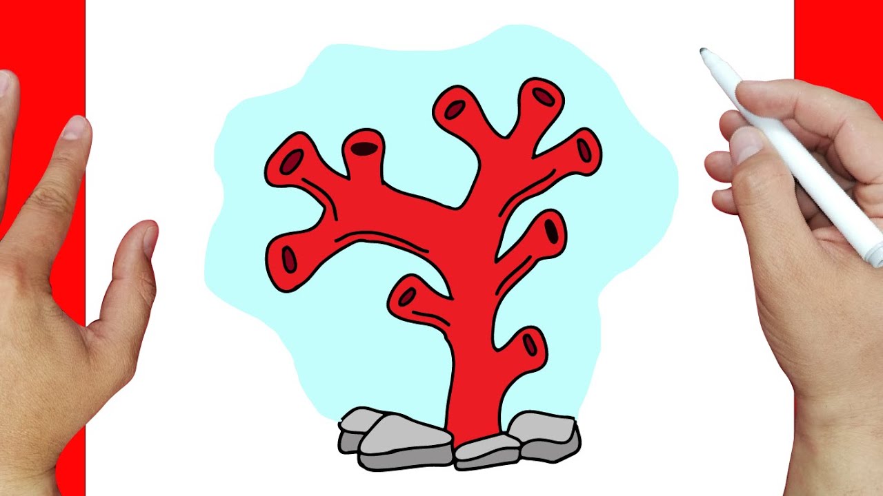 Cómo dibujar Coral paso a paso | Dibujos fáciles