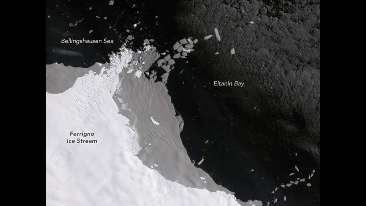 Pervasive Ice Retreat in West Antarctica