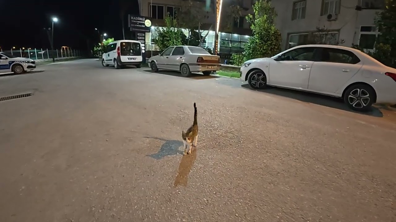 KADİRLİ GECE GEZMESİ