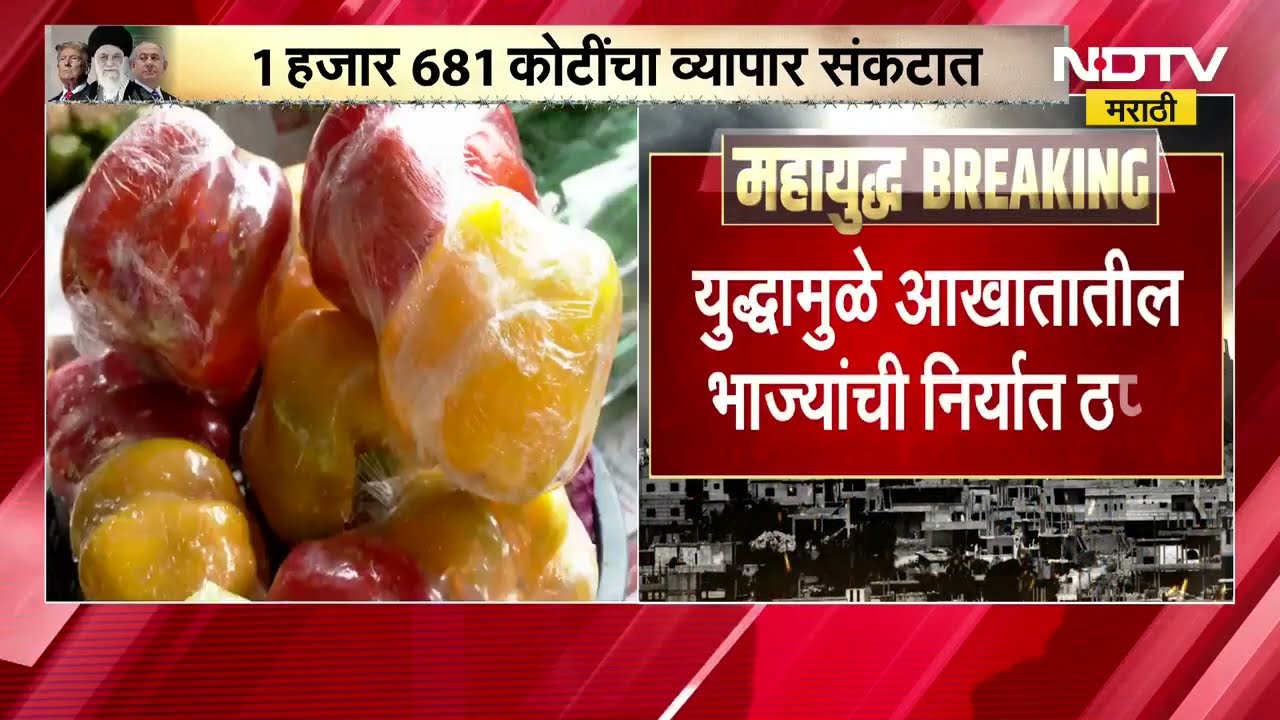 Vegetable exports halted । आखातातील युद्धामुळे भाज्यांची निर्यात ठप्प, 1681 कोटींचा व्यापार संकटात