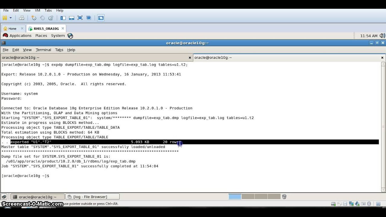 expdp impdp (table level)