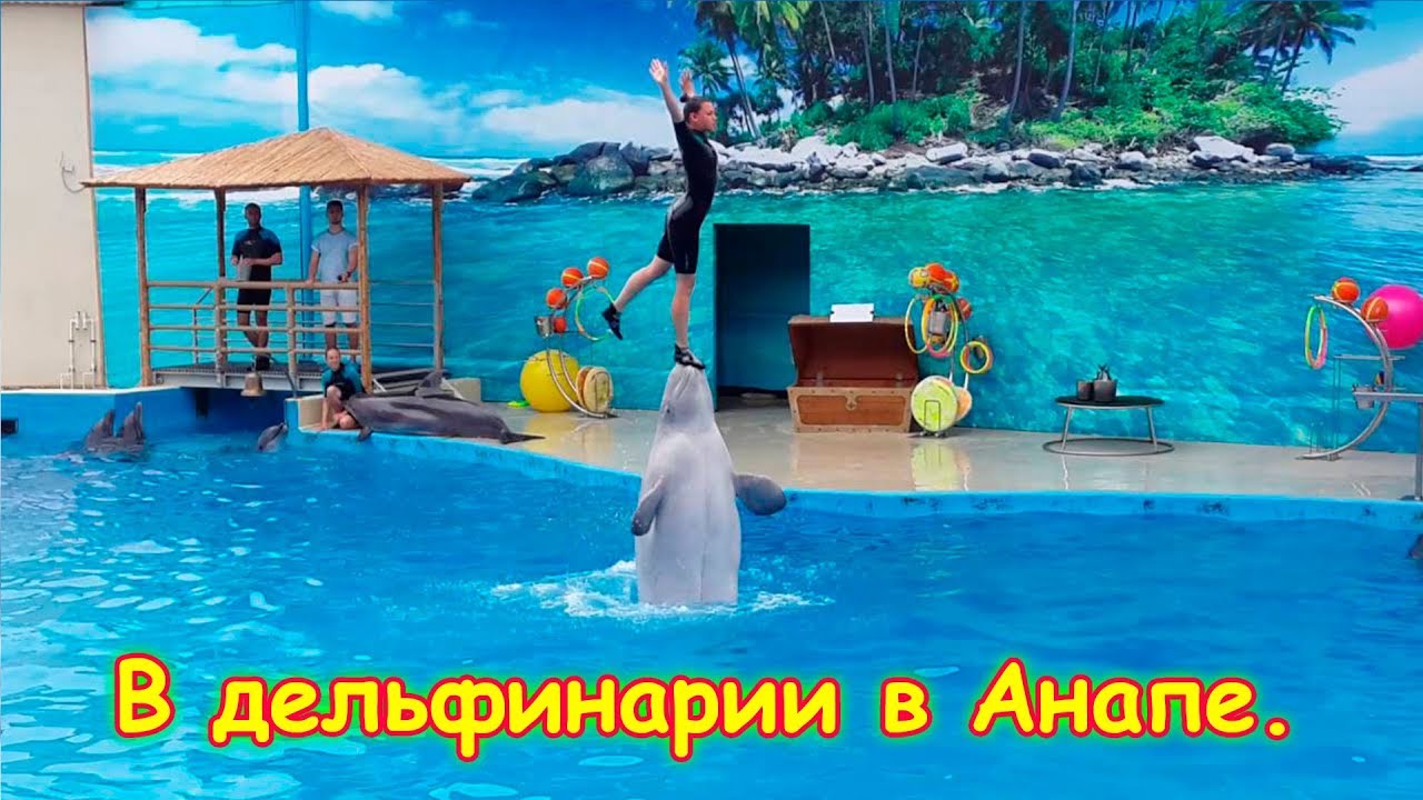В дельфинарии. Анапа. В восторге от представления! (07.18г.) Семья Бровченко.