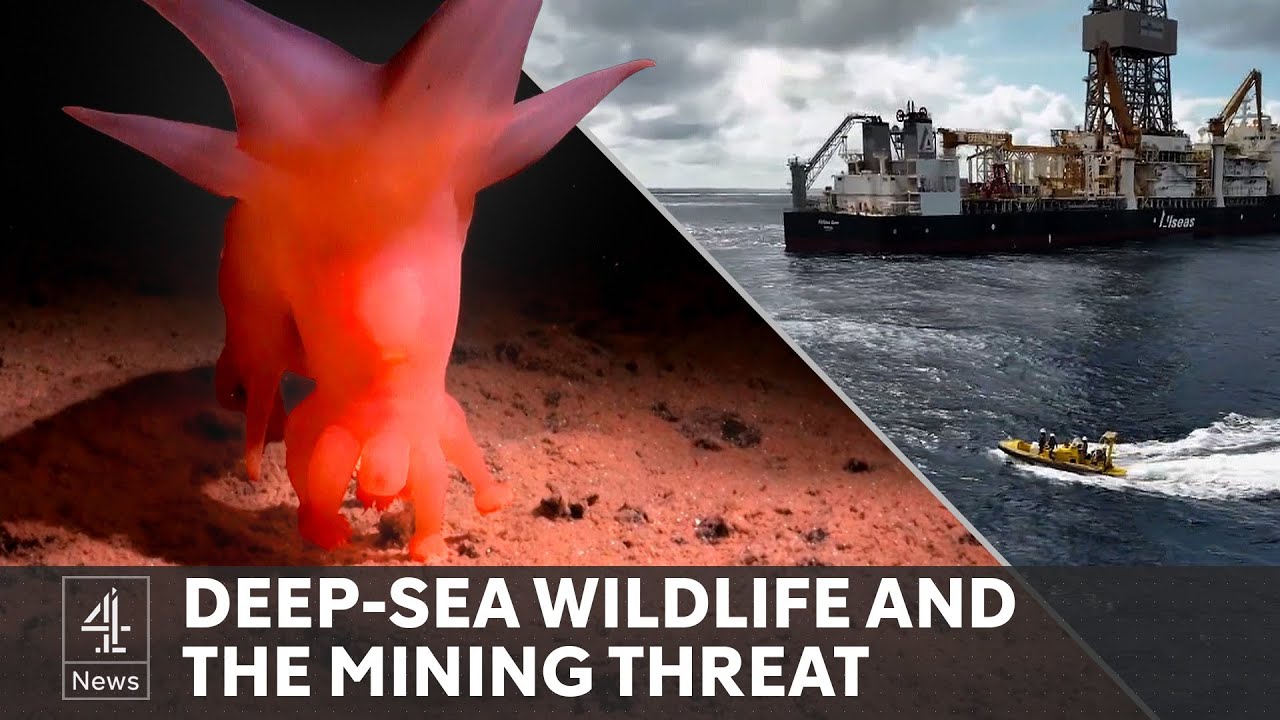 Does the world need deep-sea mining for the green tech revolution?