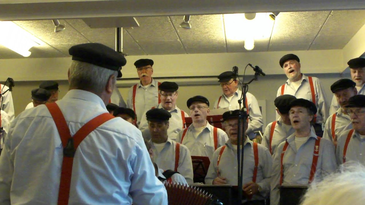 Vlister Zangers 2011 met 