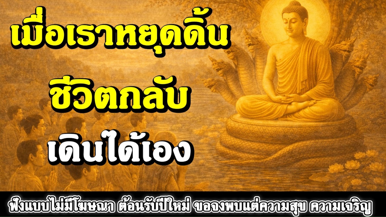 ธรรมะสอนใจ : Ep347 : เมื่อเราหยุดดิ้น ชีวิตกลับเดินได้เอง