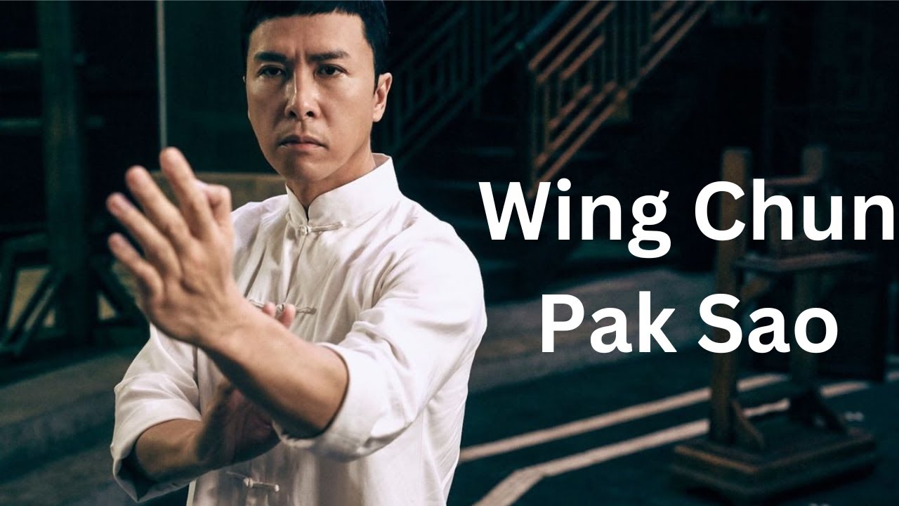 Wing Chun Hands tutorial Pak Sao