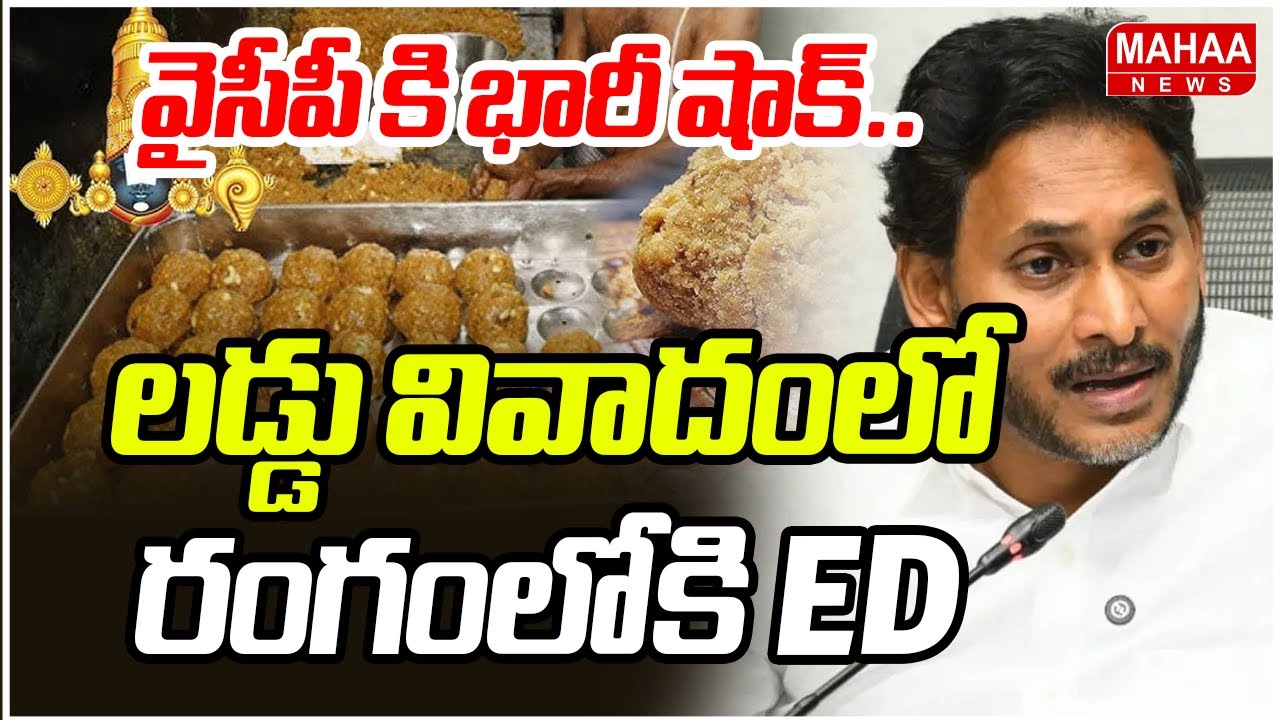 వైసీపీ కి భారీ షాక్.. లడ్డు వివాదంలో రంగంలోకి ED  | Adulteration of Ghee in Tirumala | Mahaa News