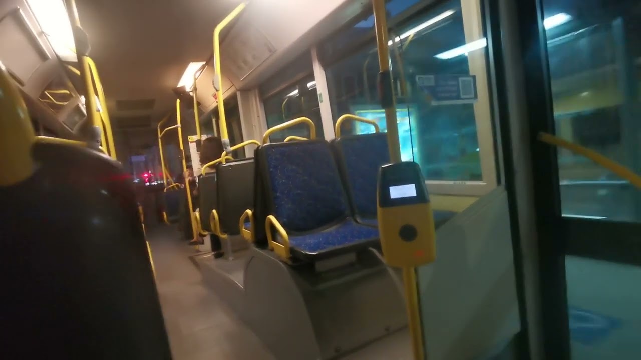 tram and bus 4 life
