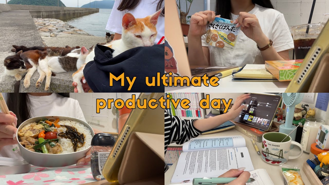 【重大発表】🌱頑張れない時は素直に逃げる | 寄付を始めた話🐈 | another productive day | 1日を本気で過ごしてみた ④