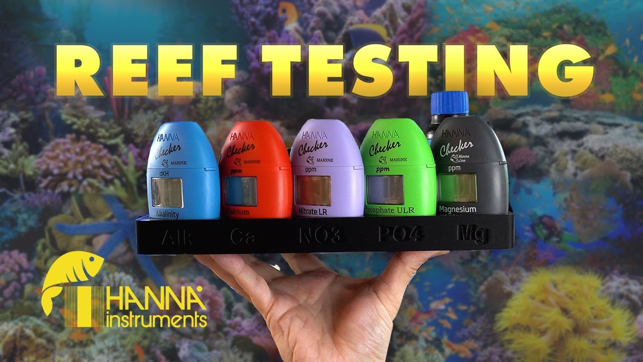 Testing ALL the major reef parameters with Hanna Checkers 🧪