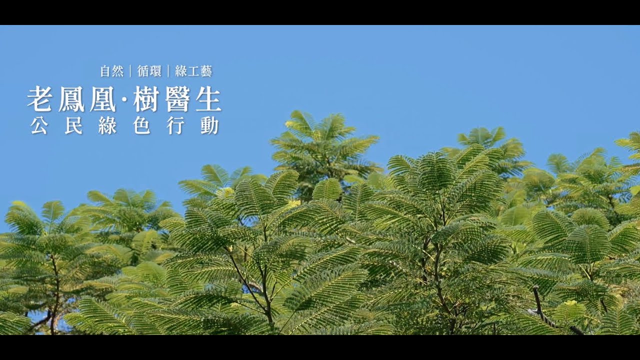「老鳳凰 ‧ 樹醫生」公民綠色行動