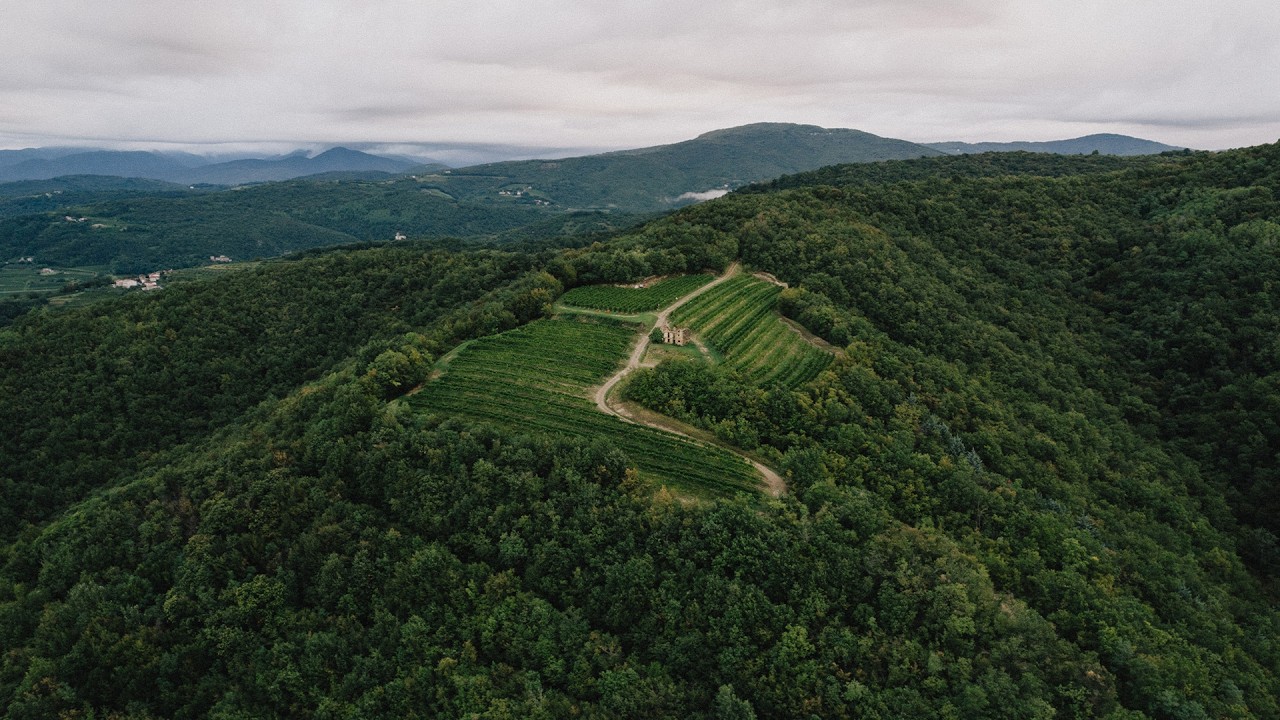 Tenuta La Ponca | commercial