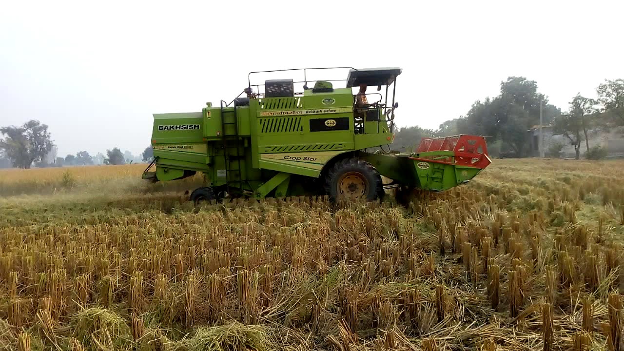 Bakhsish 930 combine performance in the field