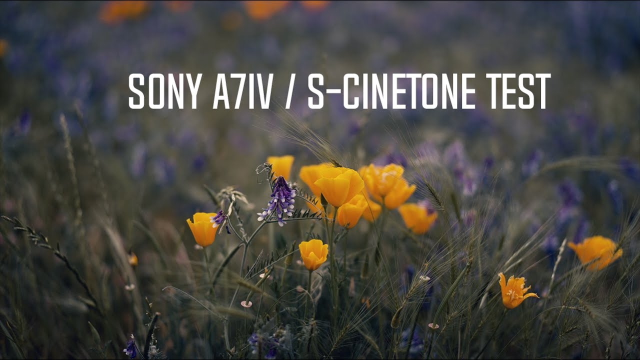 Sony A7IV | S-Cinetone Color Profile Test