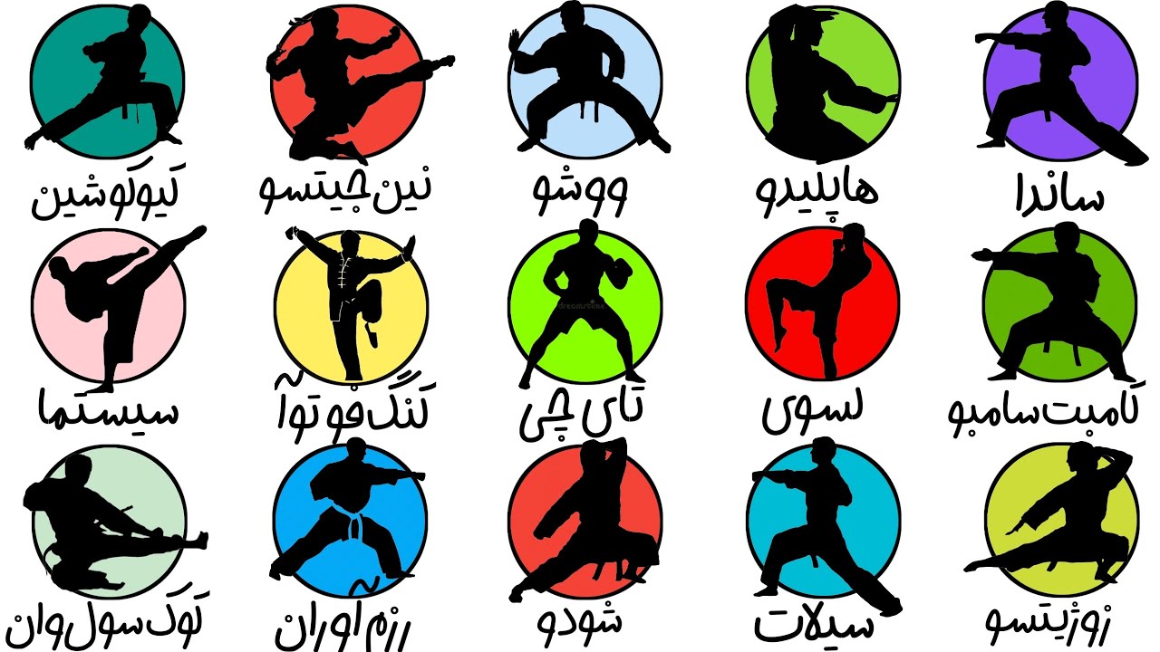 همه‌ی ورزش های رزمی در ۵ دقیقه!!!🥋🥇(پارت دو)