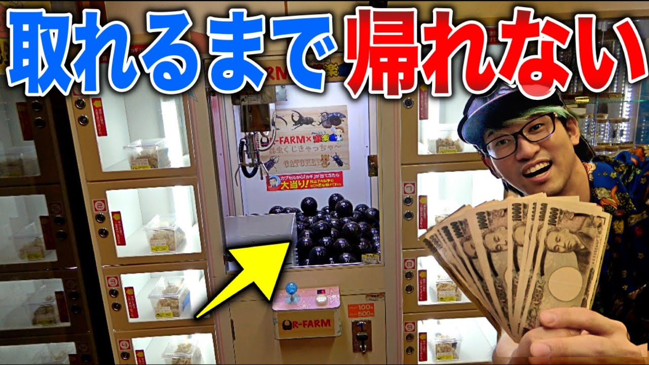 生体が景品になっているUFOキャッチャーで誰も予想できない展開がおきた…