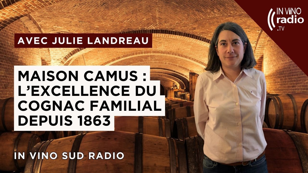 Maison Camus : l’excellence du cognac familial depuis 1863