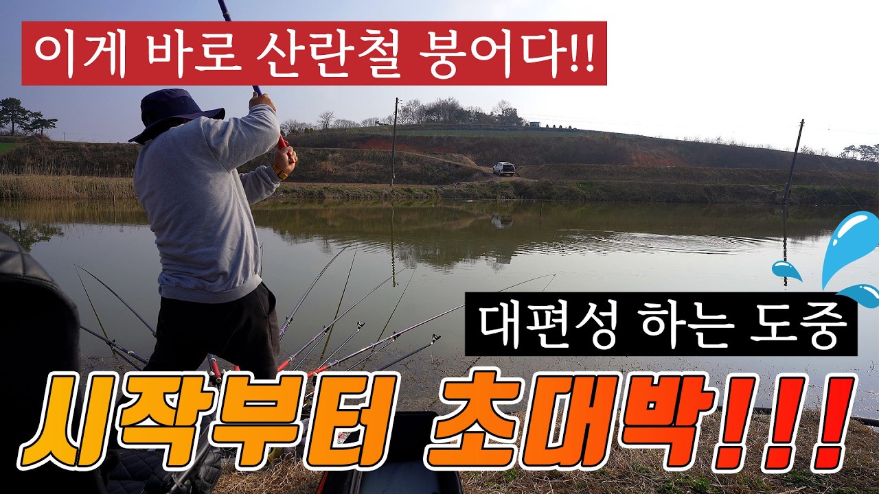 대편성 하면서부터 초대박!!! 산란철 대물붕어는 언제 올라올지 모른다. 붕어낚시의 매력