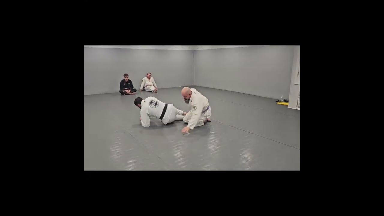 Подсечка с ударом бедром 