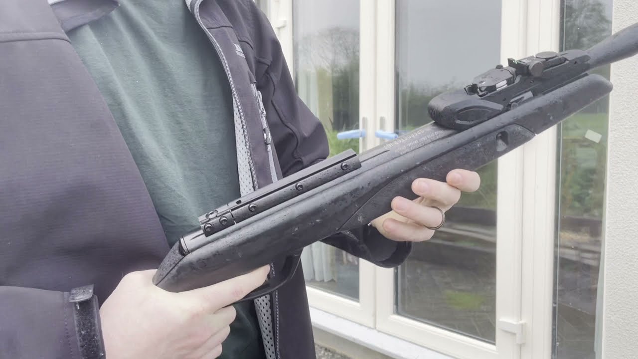 Gamo Speedster IGT 10x Gen2 - Whisper .22 Air Rifle Review