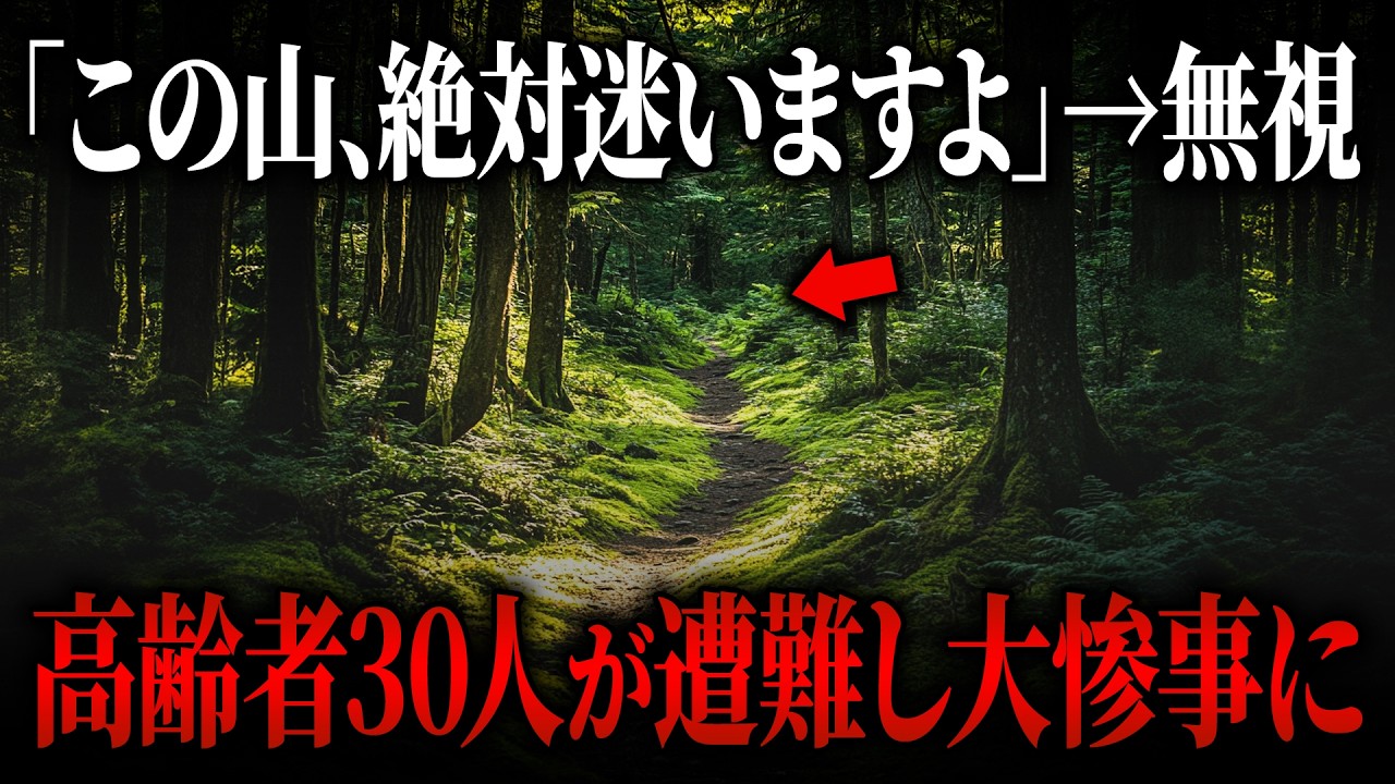報道が描かなかった…高齢者30人遭難とリーダーの苦渋の決断【麻綿原高原道迷い遭難事故】【ゆっくり解説】