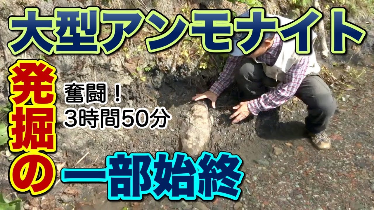 大型アンモナイト発掘の一部始終【恐竜化石発掘チャレンジin北海道 Part 7】