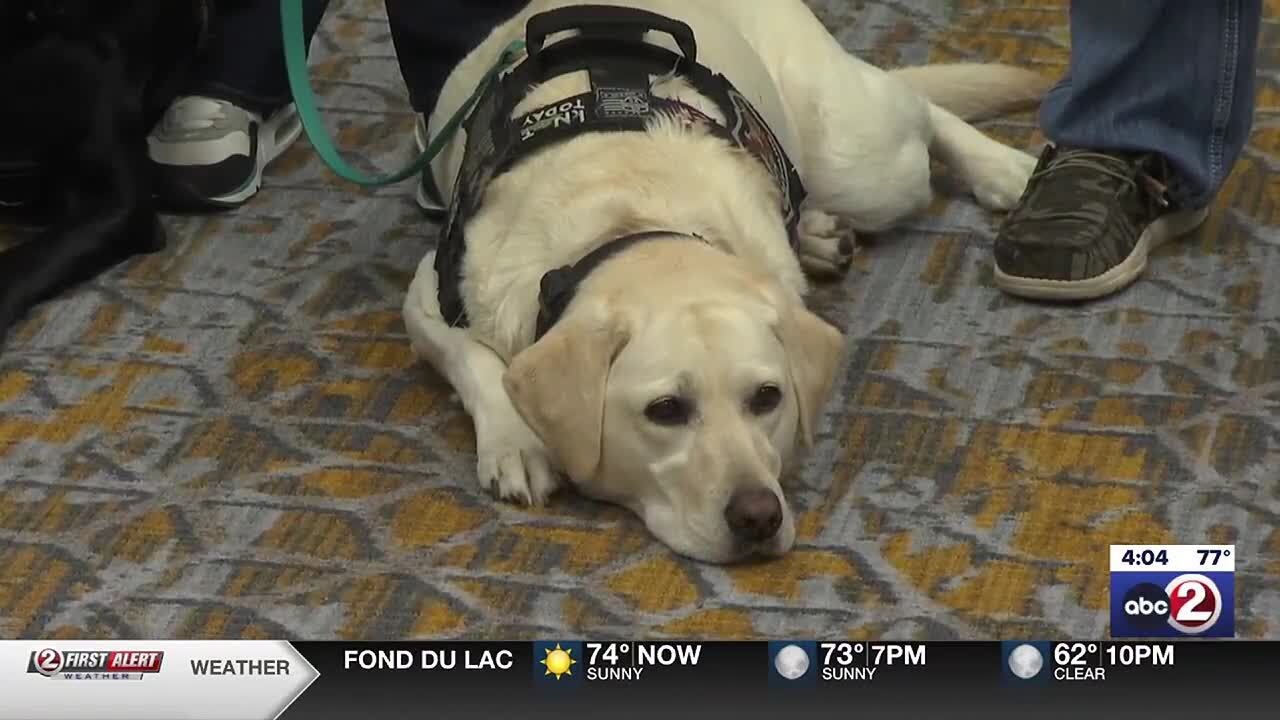 Electronic storage detection canines assist ICAC investigations