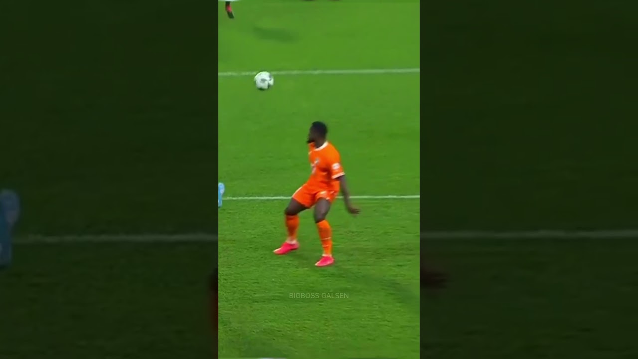 S&eacute;n&eacute;gal vs cote d'ivoire: Revivez le but exceptionnel  d'Habib Diallo. #s&eacute;n&eacute;gal #assanediao