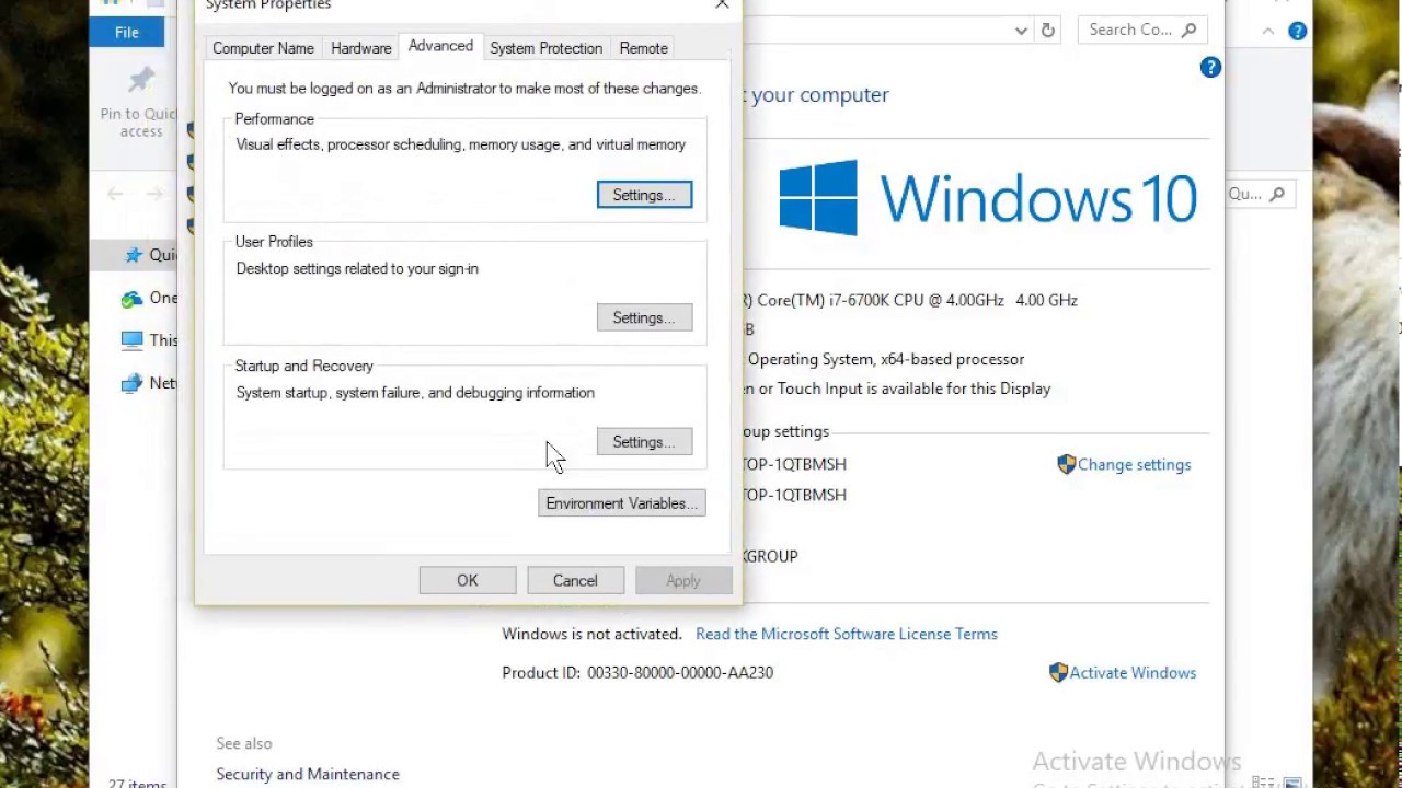 Adding SVN to the Path