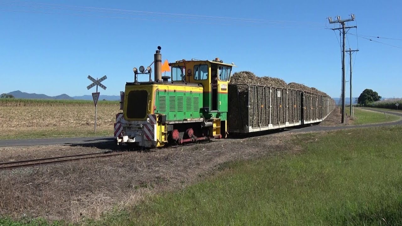 Queensland Sugar Cane Railways, Marian & Racecourse Mills
