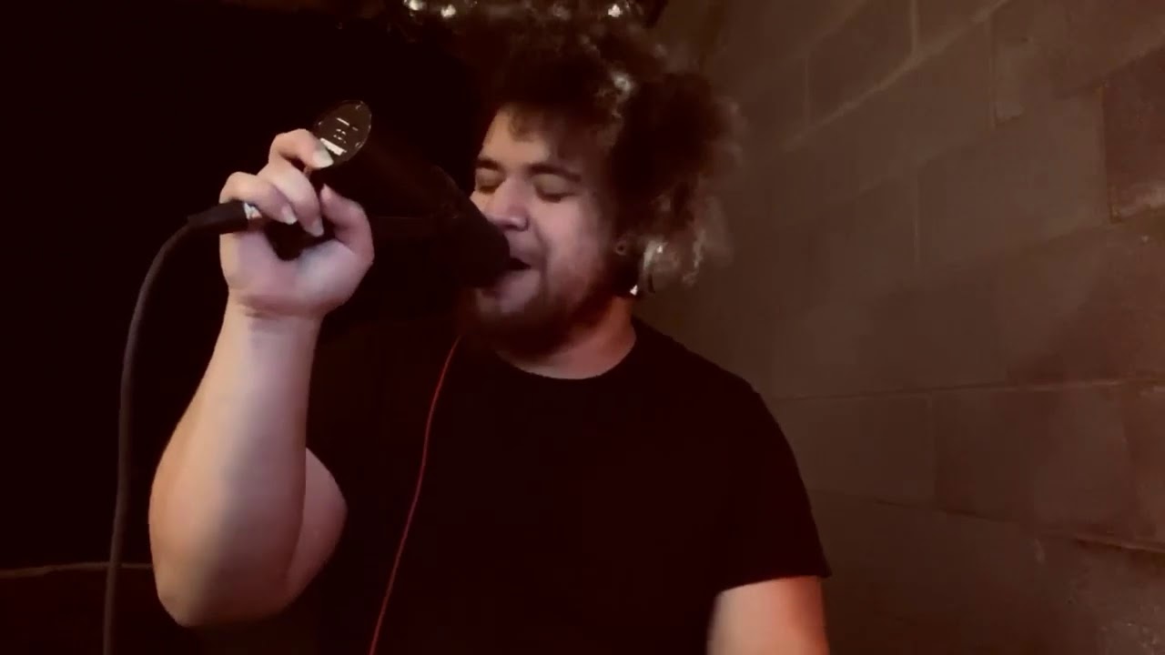 Northlane - Enemy Of The Night Vocal Cover