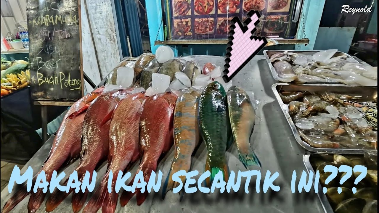 Rekomendasi Makan SEAFOOD di Labuan Bajo! Enak banget!!!