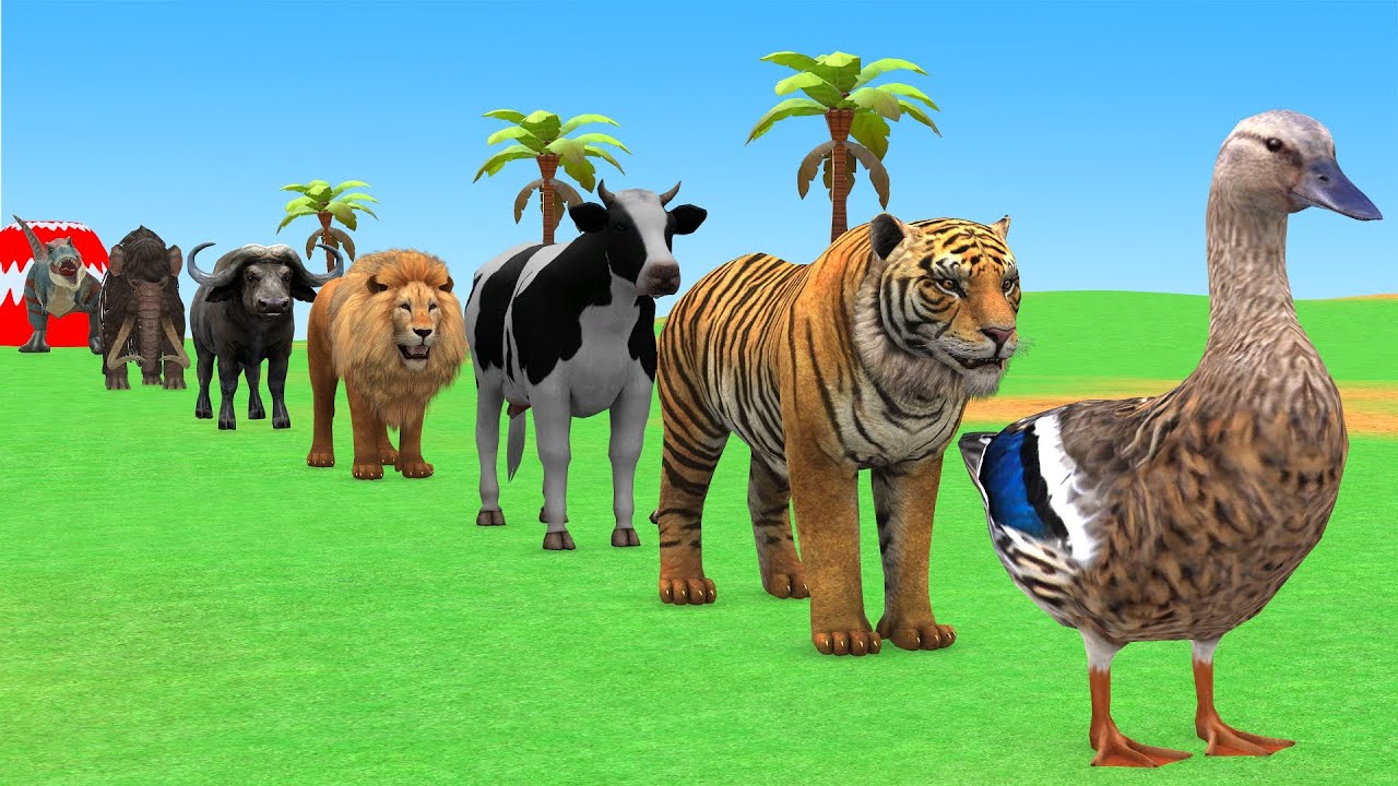 Long Slide Game with Cow Elephant Gorilla Hippopotamus Tiger 3d Animal Game Funny 3d Animals