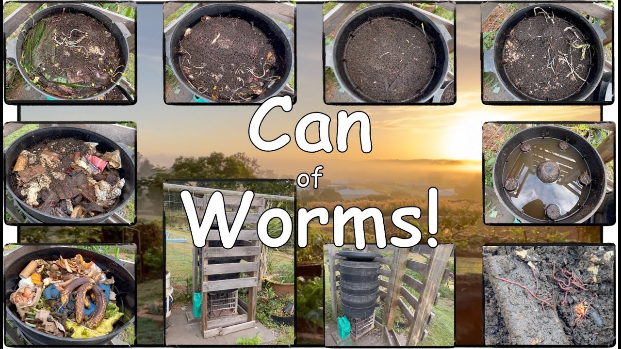 A Can of Worms