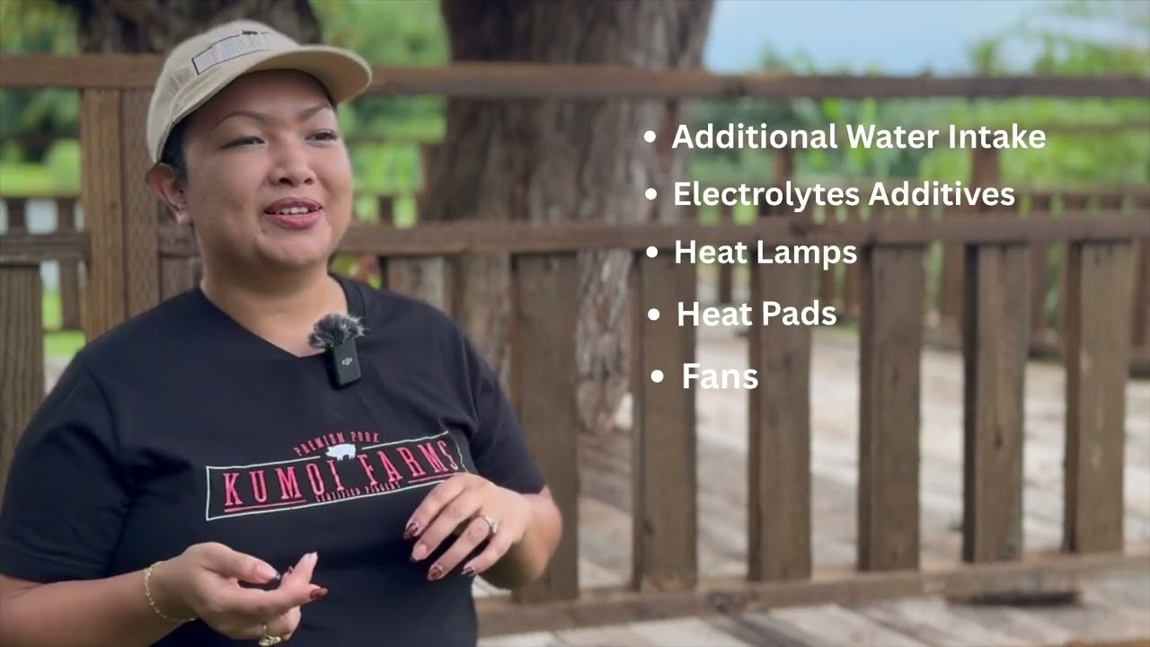 Intro to: Kumoi Farms Sustaining Pig Farming in the Marianas Initiative