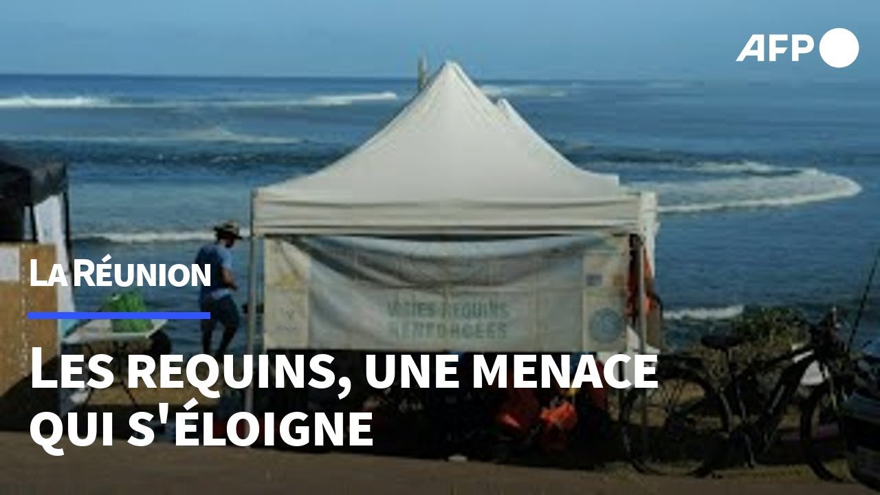 Cinq ans apr&egrave;s la derni&egrave;re attaque, comment La R&eacute;union a &eacute;loign&eacute; le 