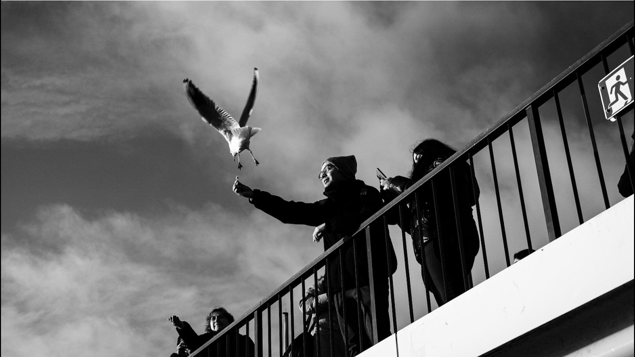 4 Years of Street Photography! Hamburg, Germany!